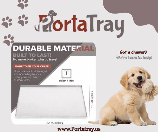 How to Help Your Dog Through Crate Training Regression