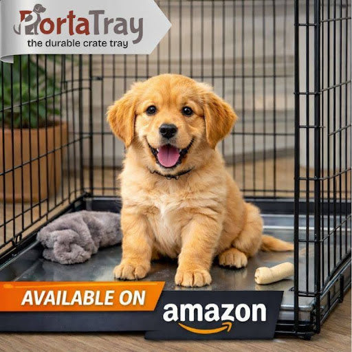 Porta Tray Prays available on Amazon