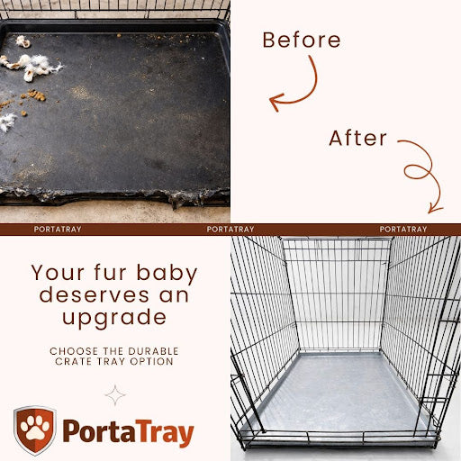 Dog Crate Setup: 5 Spring Upgrades to Make Now