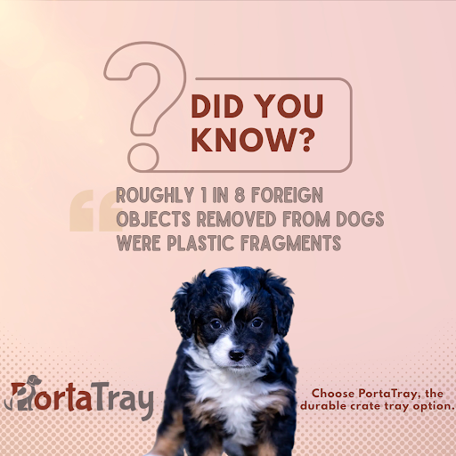 Puppy Growth Spurt: Crate Setup Tips That Work