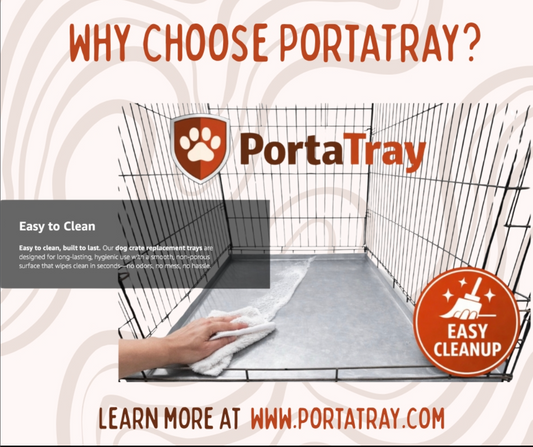 Dog Kennel Tray Tips for Summer Camping