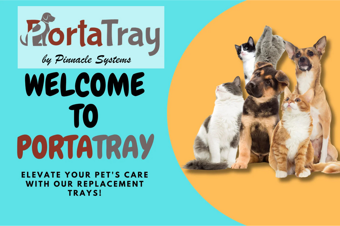 Protect Floors With Metal Crate Tray Safety Tips
