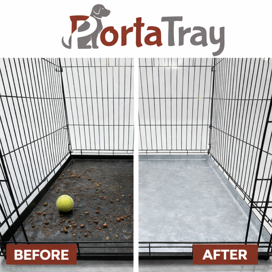 Dog Kennel Tray Odors: How to Keep Your Crate Fresh