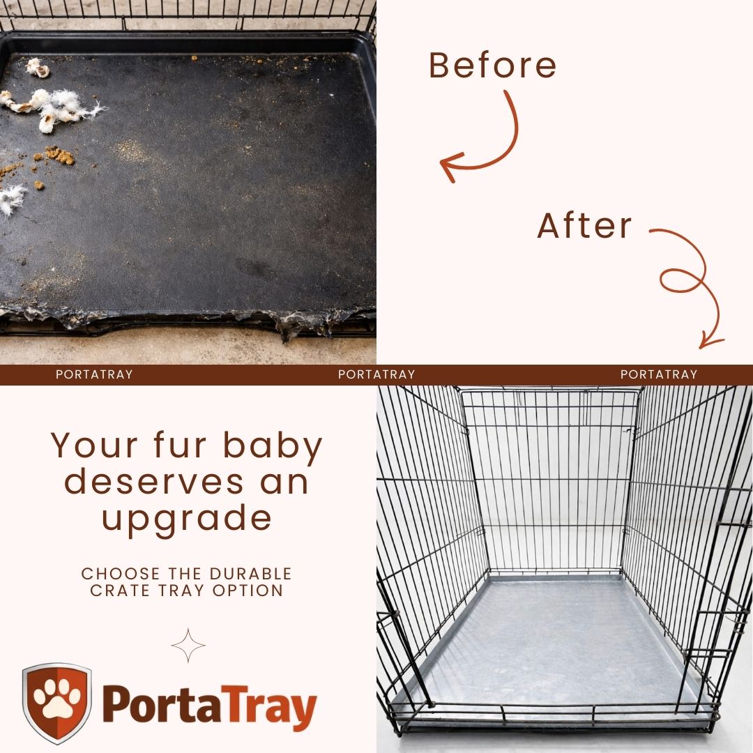 Repair or Replace? Your Kennel Tray Decision Guide