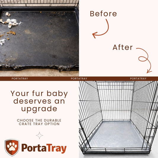 Repair or Replace? Your Kennel Tray Decision Guide