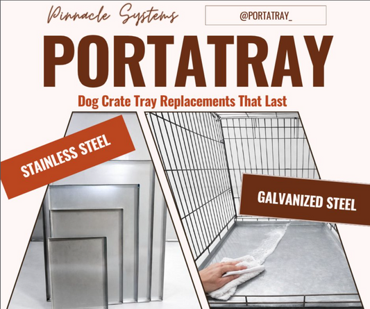 Why Your Kennel Tray Matters More During Summer Heat