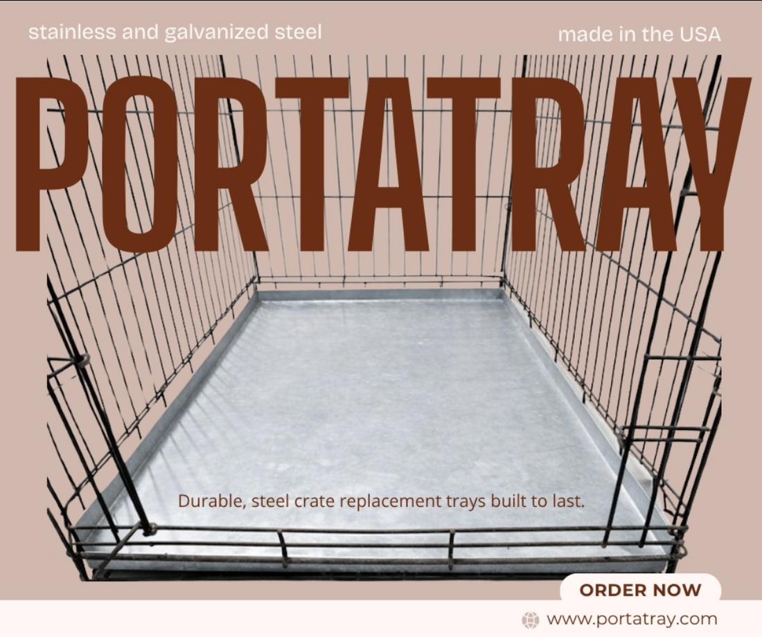The Hidden Impact of Summer Shedding on Your Dog Kennel Tray